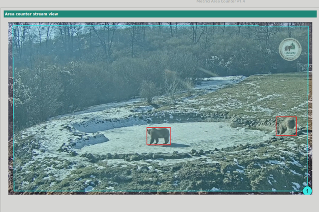 Metrici bear and wildlife detection